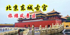 抽插美女视频中国北京-东城古宫旅游风景区